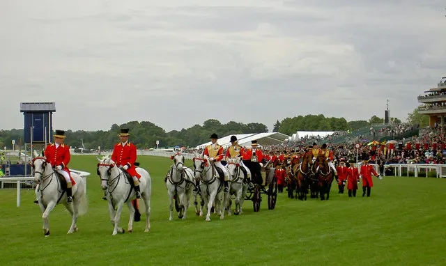 Royal procession at Royal Ascot featuring four Windsor Greys drawing a carriage, followed by additional carriages and attendants in red livery on the grass track.