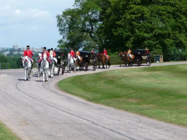 Royal carriages with liveried coachmen and horses arriving at Royal Ascot, set against green parkland and a distant castle.