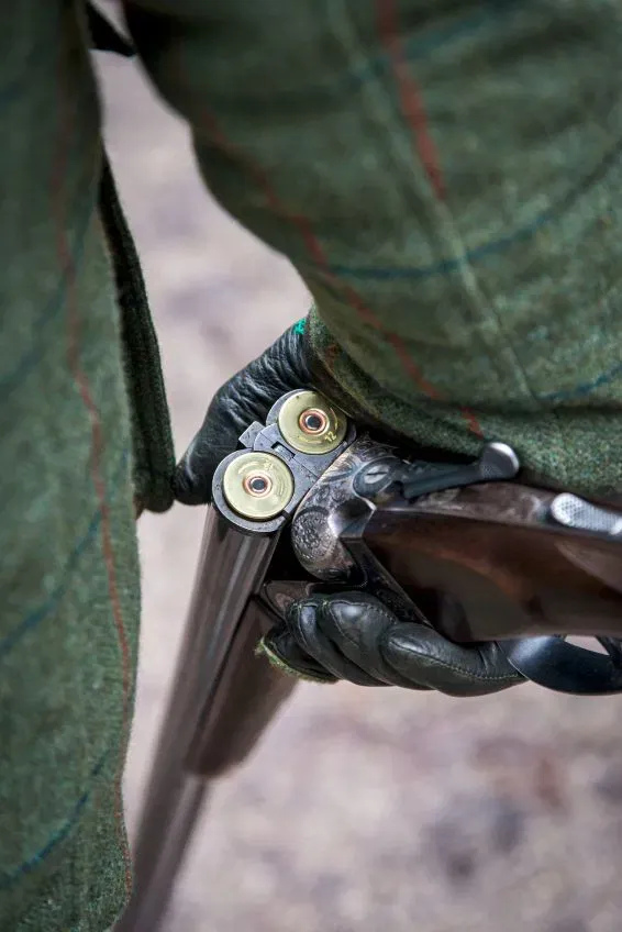 The Glorious Twelfth: Grouse Season Upon Us